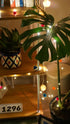Pom Pom String Lights - 10M, 100 LEDs, USB operated